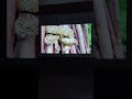 AUTOMATIC PRO MAX 300+ 1080P 4K 8K ANDROID 13 CINEMA PROJECTOR BHOPAL BAIRAGARH CALL ME 8602789262