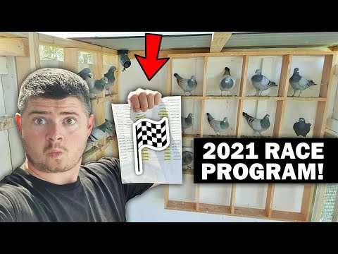 2021 Racing Pigeon Program!