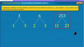 Exploring Real Numbers, Class 10 Maths