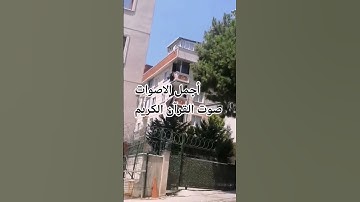 قران كريم بصوت جميل للشيخ اسلام صبحي#المصحف#اكسبلور#راحة_نفسية#اكسبلور ماتيسر من سورة البقرة #🌺♥️