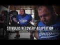 Principle of SRA | Stimulus Recovery Adaptation | JTSstrength.com