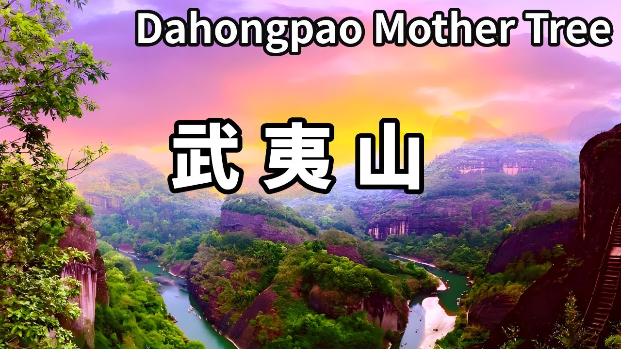 帶大家去看看中國寶藏之地－福建武夷山！現在不要門票，山環水繞有美景，還有價值連城的大紅袍母樹【大海去旅行】