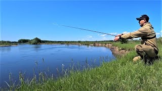 Що Це Було? Блешня Ловила Щук. Спінінг на Десні