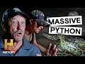 Challenges and Strategies in Python Hunting