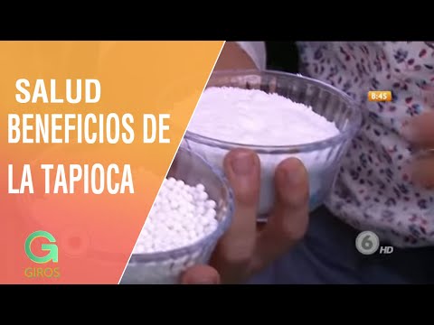 Beneficios de la tapioca para su cuerpo | Salud