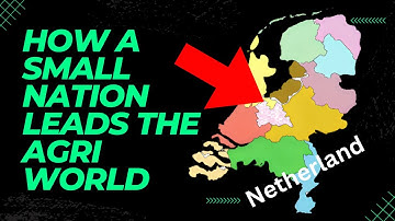 Hoe Nederland een landbouwsupermacht werd: de geheimen ontrafelen