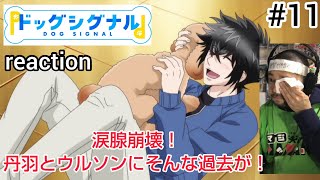 ドッグシグナル 同時視聴