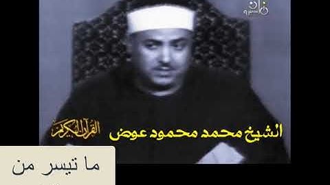 الشيخ محمد محود عوض |سورة هود