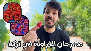 جولة الريف التركي - مهرجان الفراولة في تركيا | احلى فاكهة في مدينة ازمير