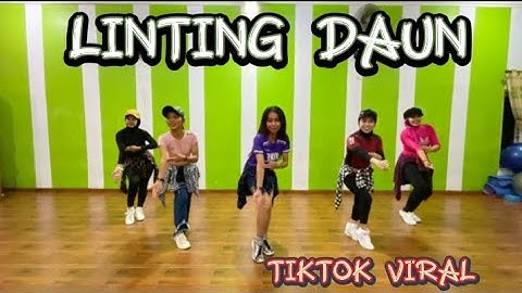 Senam kreasi Linting daun remix dj love//choreo by Endang Atya @sanggarsenamatya8917