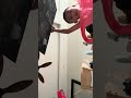 I take all thing into my room 