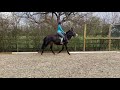 Emulate in the arena day 2