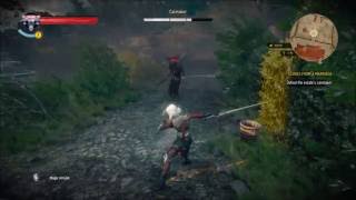 The Witcher 3 Ciri Vs The Caretaker Boss Fight Ciri Free Roam Glitch