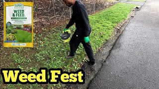 How To Eliminate Weeds Using Weed & Feed Fertilizer