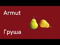 Турецкий язык для начинающих, Фрукты