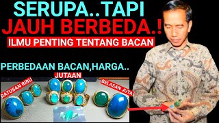 BACAN PALAMEA BACAN HARGA TERJANGKAU