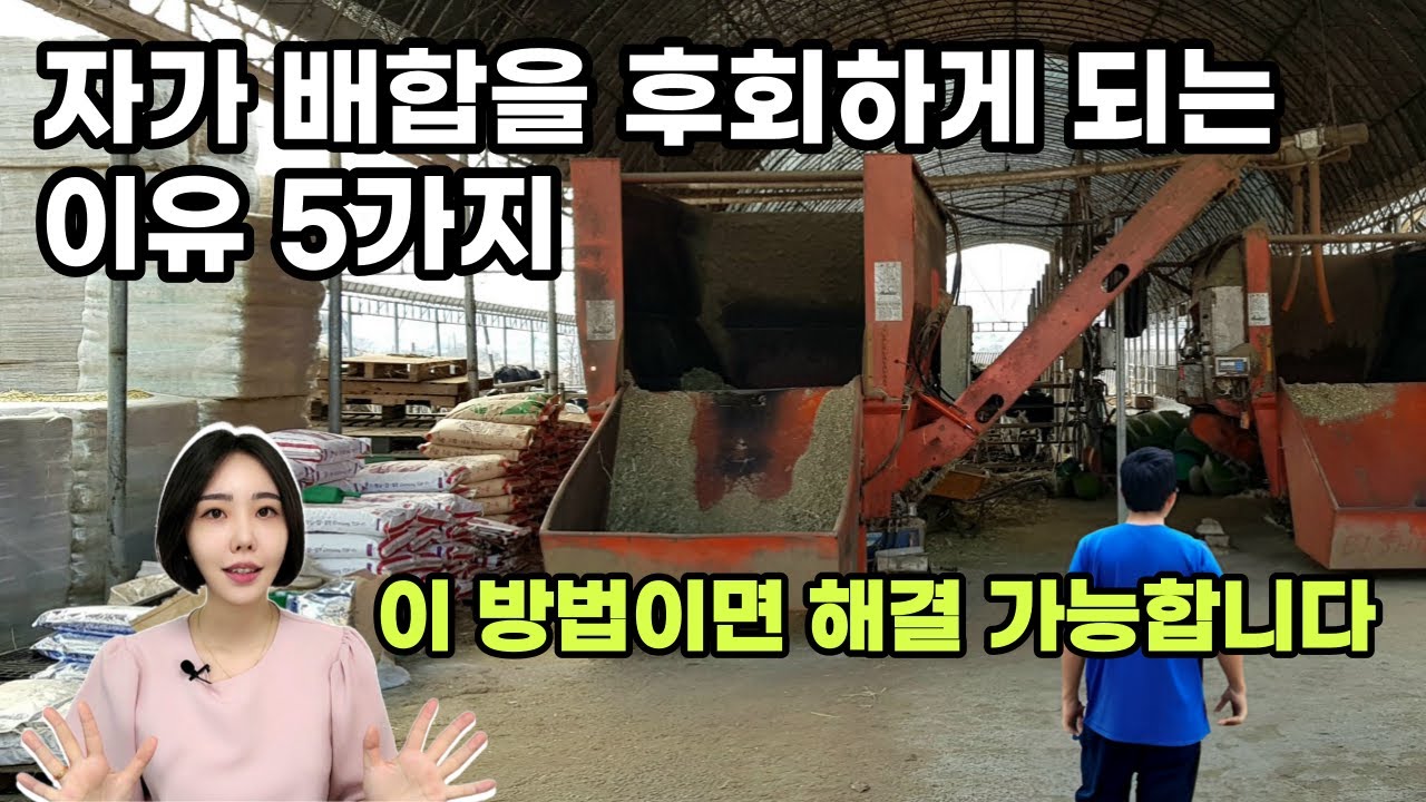 한우 자가 배합한다면 이 영상 꼭 보세요 (발효사료, TMR/TMF)