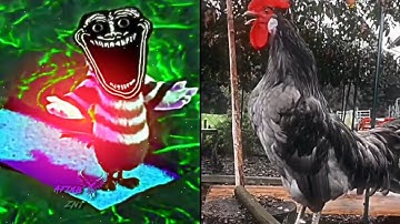 COLDEST TROLLFACE EDITS COMPILATION | PHONK TIKTOK HIGHLIGHTS #1