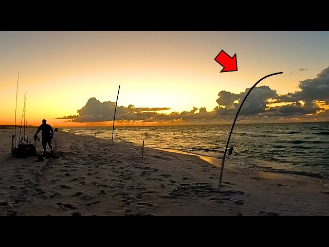 We Were Surf Fishing for Pompano when This Happened! (New