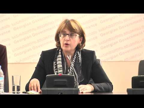 მაია ფანჯიკიძის შეხვედრა ჟურნალისტებთან