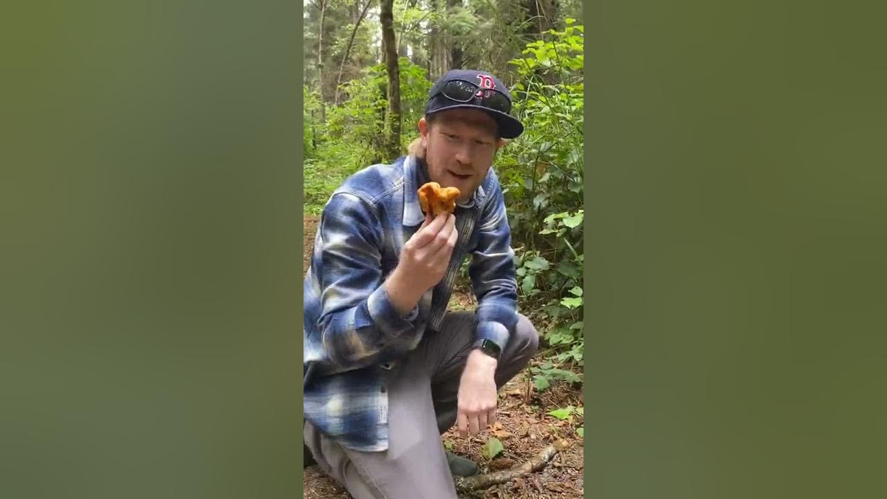 Fascinated By Fungi Foraging for Lobster Mushrooms (Hypomyces