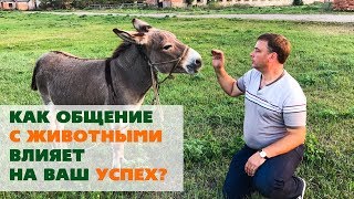 КАК ЛУЧШЕ ПОНЯТЬ СЕБЯ? Общение с животными как инструмент личностного роста и самопознания #948 КАК ЛУЧШЕ ПОНЯТЬ СЕБЯ? Общение с животными как инструмент личностного роста и самопознания #948