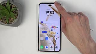 Honor 200 Pro - How to Manage DND | Do Not Disturb Mode Tutorial