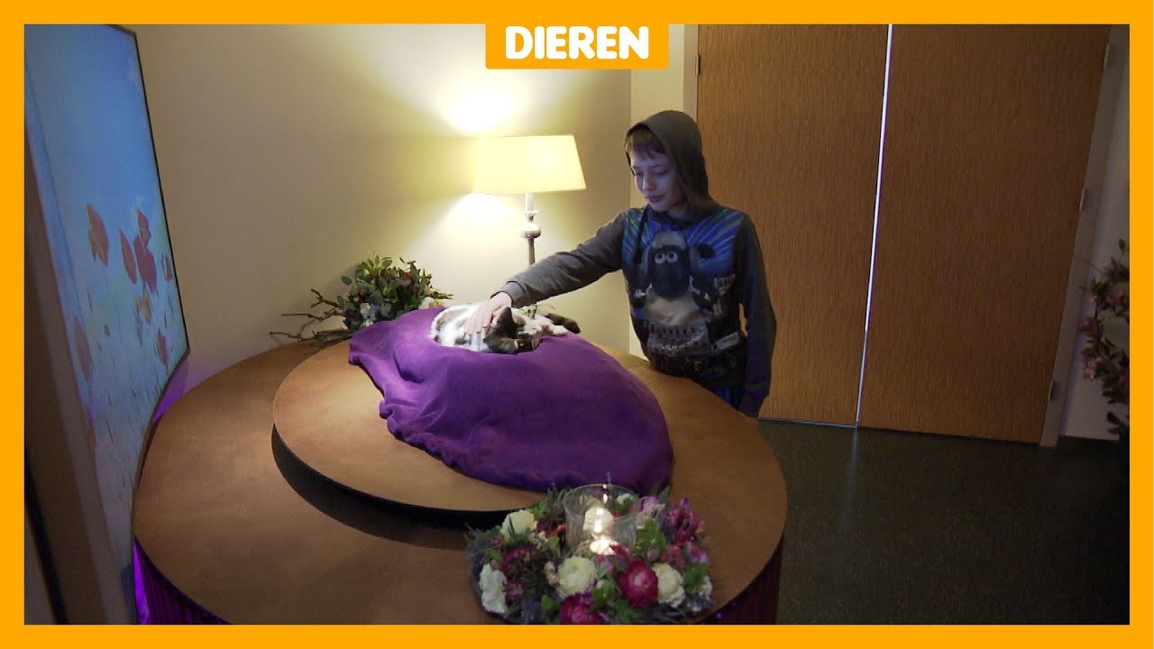 Diederik heeft een echte crematie voor kat Bummy