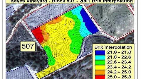 2008 Triggs International Premium Vinifera Lecture...