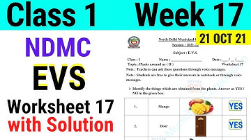 NDMC Class 1 EVS Week 17 Worksheet 17 (21/10/21) || worksheet 17 Class 1st evs week 17 solution