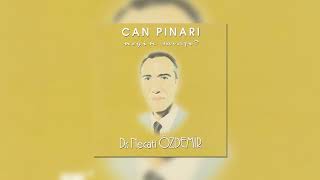 Necati Özdemir - Şu Dünyada Üç Şey Vardır