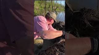 BEAVER DAM COLLAPSE.