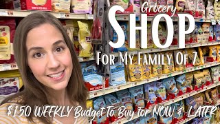 GROCERY SHOPPING ON A BUDGET || Frugal Large Family Grocery Haul & Healthy Meal Ideas