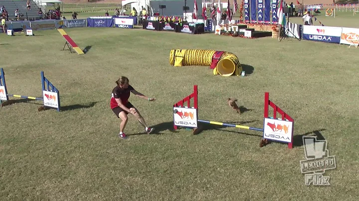 2016 Cynosport Grand Prix 12"  Winners Diane O'Rei...