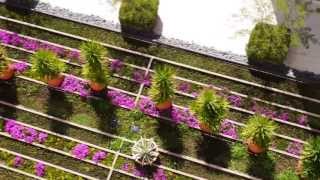 Schmidt Design Group, Inc. | Landscape Architecture and Planning