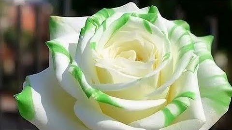 سورة الأعراف (ص - ١٥٩) الشيخ محمود علي البنا رحمه الله تعالى ...