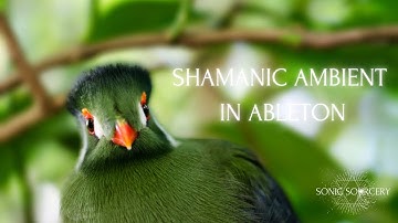 CREATING A SHAMANIC AMBIENT TRACK IN ABLETON