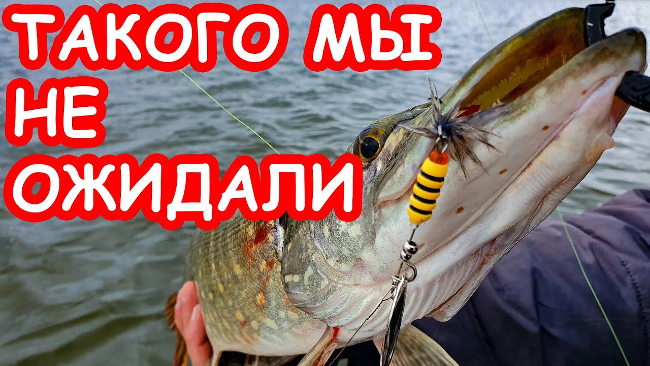 летняя рыбалка на щуку и окуня видео