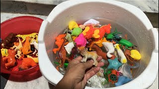 Plastic Sea Animals In water tub | plastic Insects In water tub | satisfying toys ideas