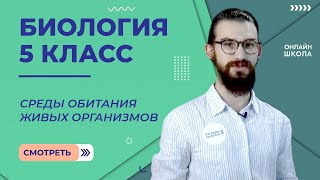 Среды обитания живых организмов. Уроки 4. Биология 5 класс