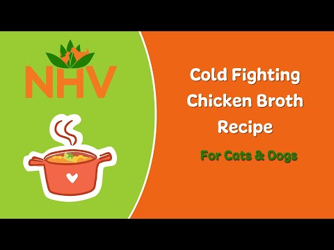 Cold Fighting Chicken Broth For Dogs and Cats