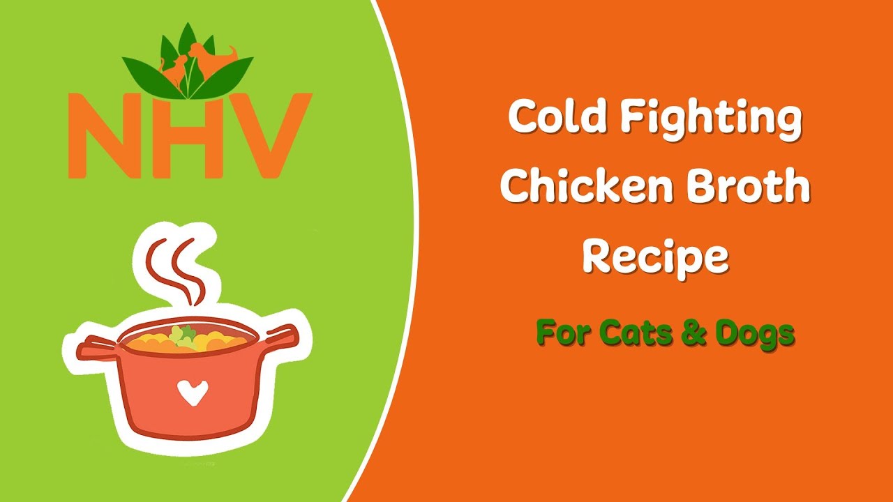 Cold Fighting Chicken Broth For Dogs and Cats YouTube