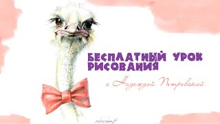 Бесплатный урок рисования: рисуем страусенка Бесплатный урок рисования: рисуем страусенка