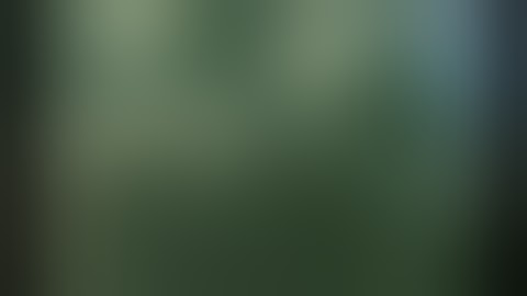 Slow motion North Tower collapse -top disintegrating