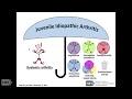 The Spectrum of Still’s Disease: Genetics and Overlap with Autoinflammatory Diseases, Part 2