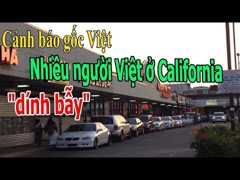 Video Nhiều người Việt ở California 