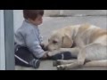 Un cane coccola un bambino affetto da sindrome di Down
