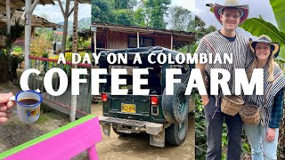 Coffee Farmers for a Day | Salento Colombia 🇨🇴