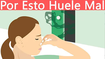 ¿Por qué se extiende un olor por una habitación?