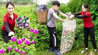 Pick up cans to clean up the environment - Harvesting Baby Eggplants Goes to the market sell